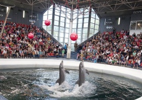 Ела във VIVACLUB и спечели семейно развлечение с делфини във Феста Делфинариум Варна!